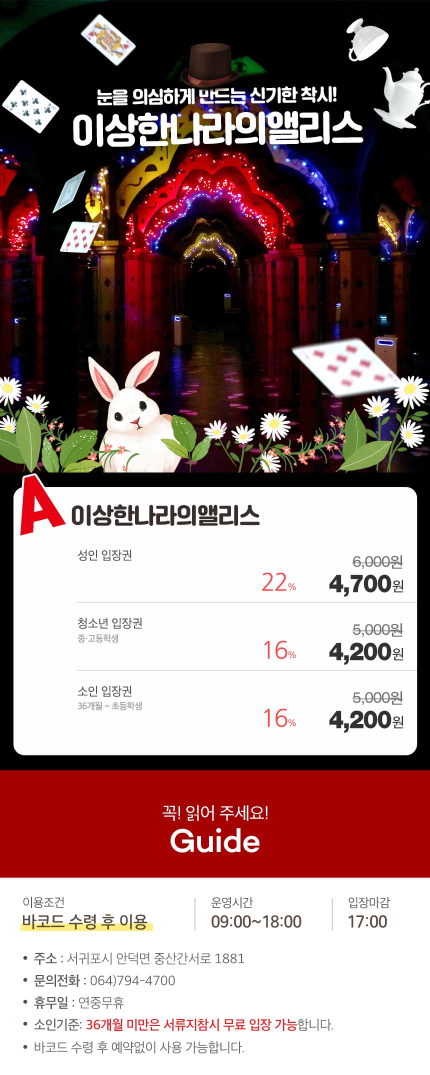 이상한나라의앨리스 입장권 이용 안내 4