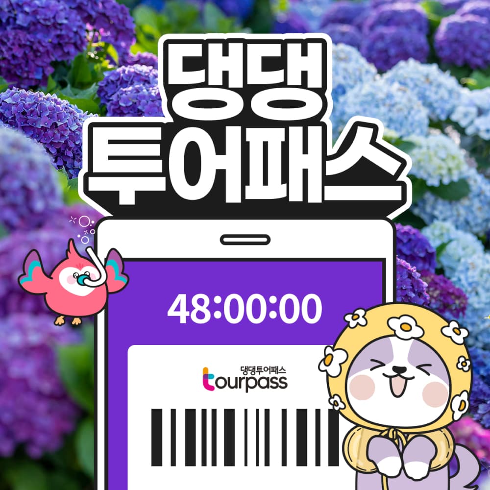 댕댕 투어패스 이용권